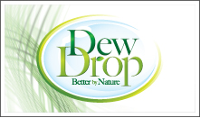Dew Drop Header